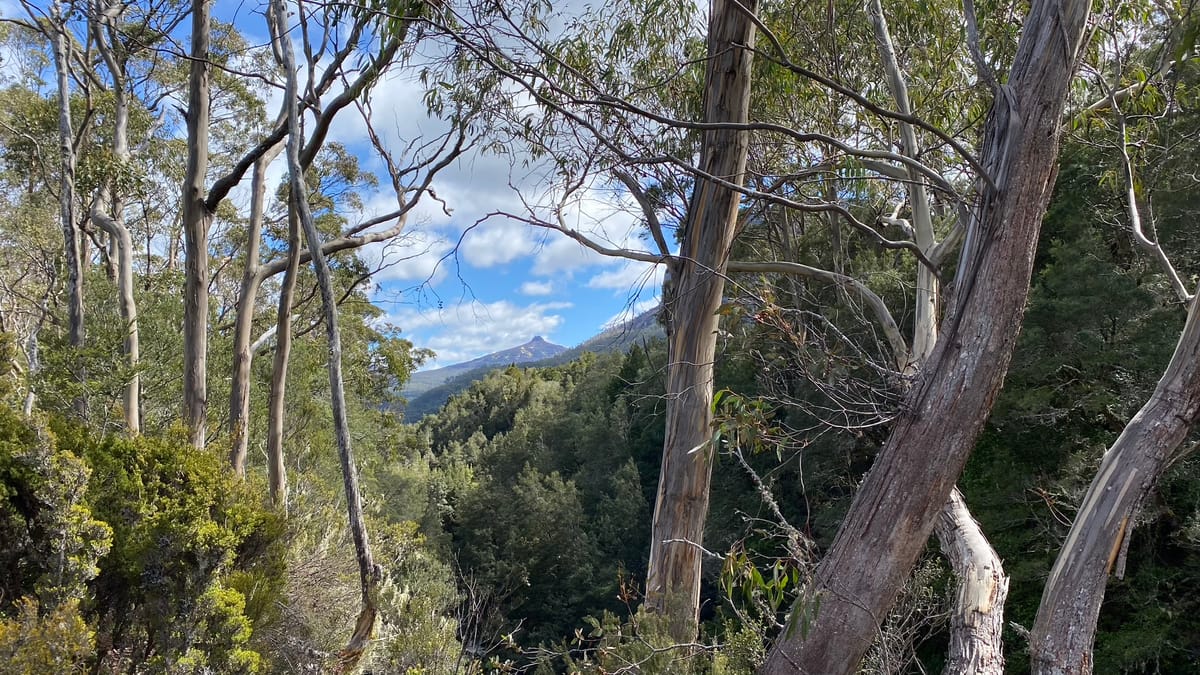 Mount Pelion East, Tasmania.